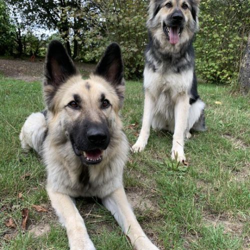 Soan et Edwyn